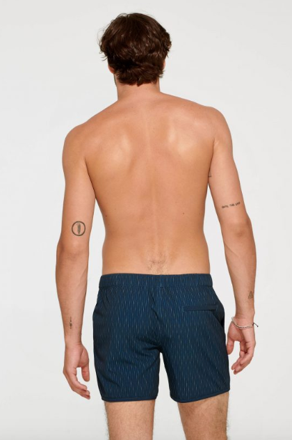 Stripe Dot Chino Boardshort
